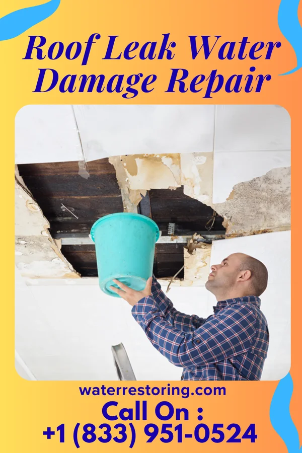 Roof Leak Water Damage Repair in Knollwood, TX